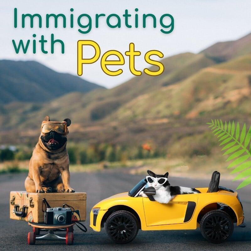Pets Love New Zealand